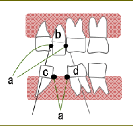 何も入れないと