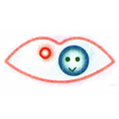 口の中の環境(プラーク・唾液)に働きかける