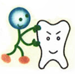 歯に働きかける