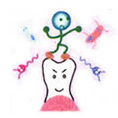 抗酵素作用・抗菌作用